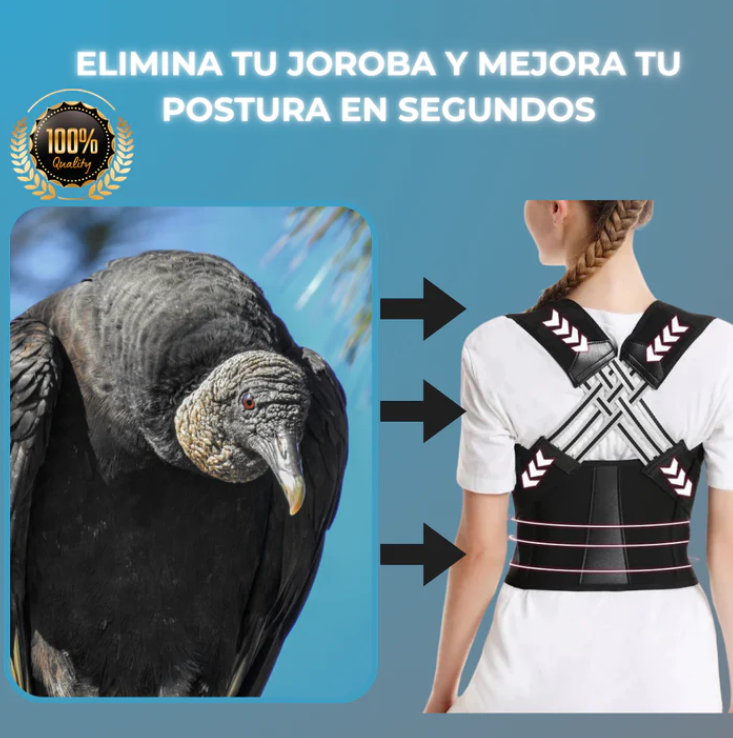Corrector de Postura Unisex Premium (Pedir 1 talla + de la que usas)